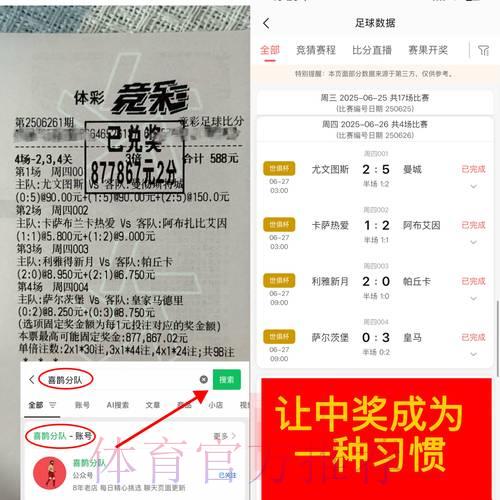 世界杯购球平台是否可靠？全面风险评估解析